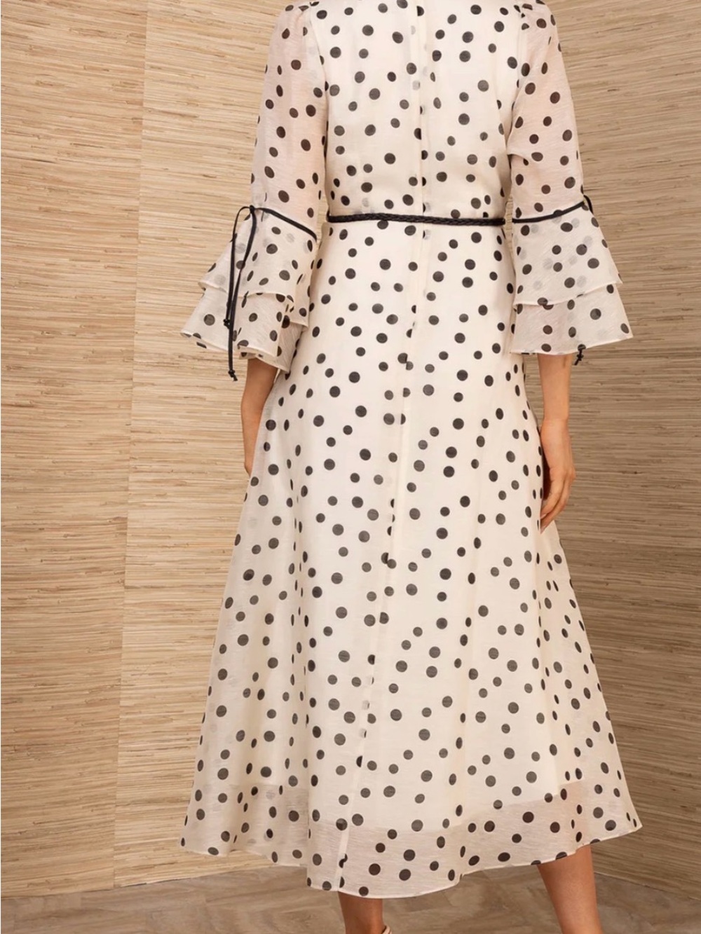 HALE BOB Aiyana Organza Maxi Dress Cream Polka Dot Ruffle with Black Trim Size S - Picture 4 of 12